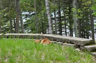 35366 E Boot Lake Rd, Park Rapids, MN 56470 - Photo 13