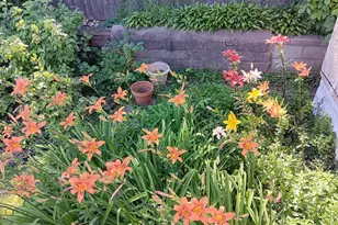 1136 Maryland Ave E, Saint Paul, MN 55106 - Photo 11