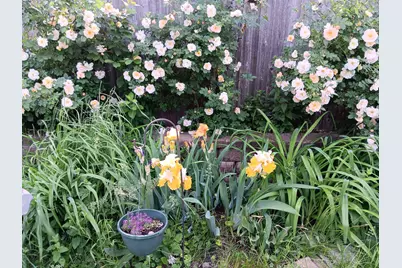 1136 Maryland Avenue E, Saint Paul, MN 55106 - Photo 9