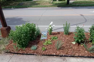 1136 Maryland Ave E, Saint Paul, MN 55106 - Photo 5