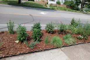 1136 Maryland Ave E, Saint Paul, MN 55106 - Photo 7