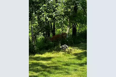 561 Deer Ridge Lane S, Maplewood, MN 55119 - Photo 43