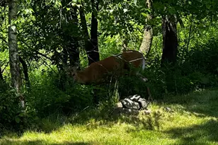 561 Deer Ridge Ln S, Maplewood, MN 55119 - Photo 43