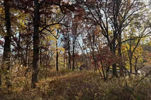 561 Deer Ridge Ln S, Maplewood, MN 55119 - Photo 45