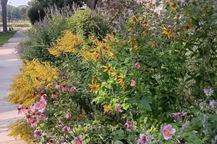 2839 Garfield Street NE, Minneapolis, MN 55418 - Photo 31