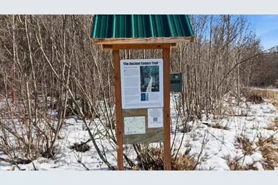 412 2nd Street N, Tower, MN 55790 - Photo 35