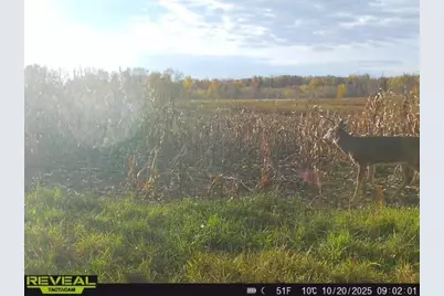 3231 Highway 65, Mora, MN 55051 - Photo 53