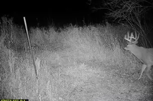 3231 Hwy 65, Mora, MN 55051 - Photo 79