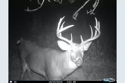 3231 Highway 65, Mora, MN 55051 - Photo 49