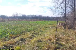 3231 Hwy 65, Mora, MN 55051 - Photo 65