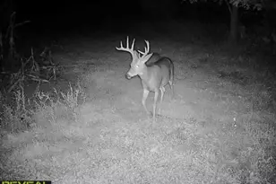 3231 Hwy 65, Mora, MN 55051 - Photo 77