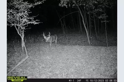 3231 Highway 65, Mora, MN 55051 - Photo 73