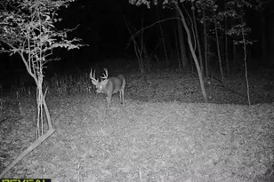 3231 Hwy 65, Mora, MN 55051 - Photo 73