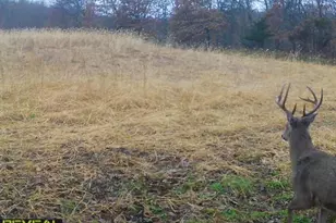 3231 Hwy 65, Mora, MN 55051 - Photo 67