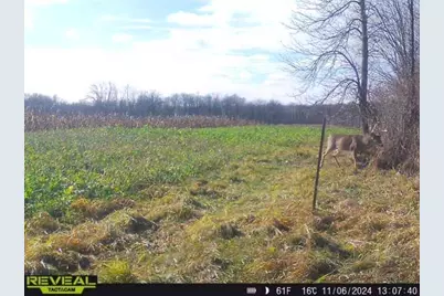 3231 Highway 65, Mora, MN 55051 - Photo 51