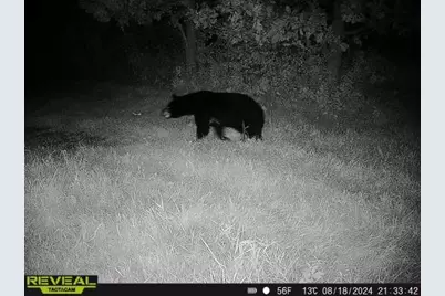 3231 Highway 65, Mora, MN 55051 - Photo 59