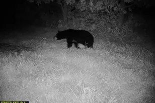 3231 Hwy 65, Mora, MN 55051 - Photo 59