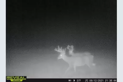 3231 Highway 65, Mora, MN 55051 - Photo 63