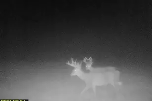 3231 Hwy 65, Mora, MN 55051 - Photo 63