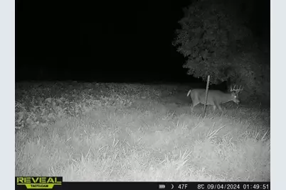 3231 Highway 65, Mora, MN 55051 - Photo 71