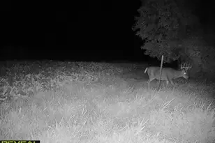 3231 Hwy 65, Mora, MN 55051 - Photo 71