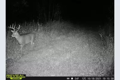 3231 Highway 65, Mora, MN 55051 - Photo 75