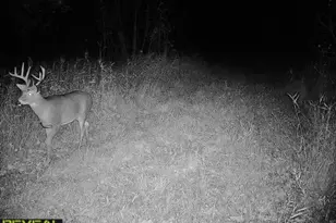 3231 Hwy 65, Mora, MN 55051 - Photo 75