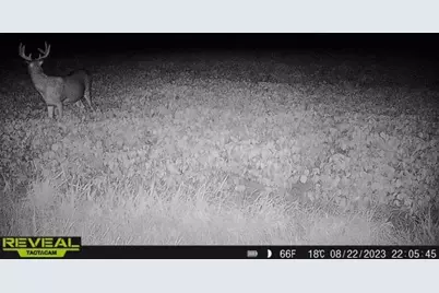 3231 Highway 65, Mora, MN 55051 - Photo 69