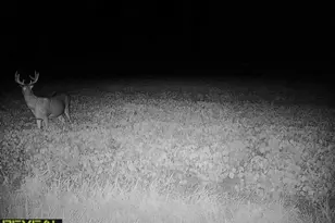 3231 Hwy 65, Mora, MN 55051 - Photo 69