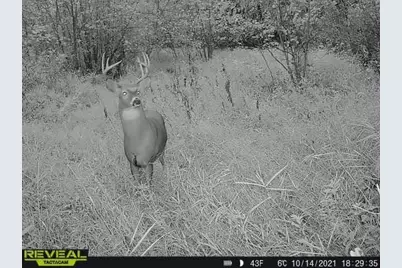 3231 Highway 65, Mora, MN 55051 - Photo 81