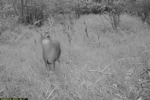 3231 Hwy 65, Mora, MN 55051 - Photo 81