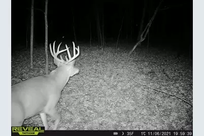 3231 Highway 65, Mora, MN 55051 - Photo 83