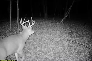 3231 Hwy 65, Mora, MN 55051 - Photo 83