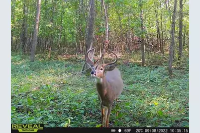 3231 Highway 65, Mora, MN 55051 - Photo 61