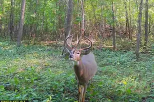 3231 Hwy 65, Mora, MN 55051 - Photo 61