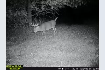 3231 Highway 65, Mora, MN 55051 - Photo 55