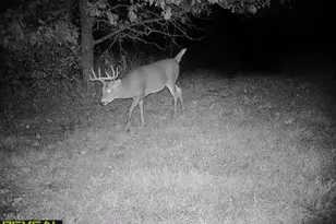 3231 Hwy 65, Mora, MN 55051 - Photo 55