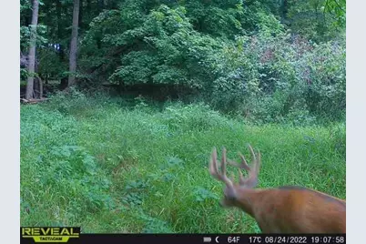 3231 Highway 65, Mora, MN 55051 - Photo 57