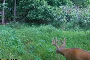 3231 Hwy 65, Mora, MN 55051 - Photo 57