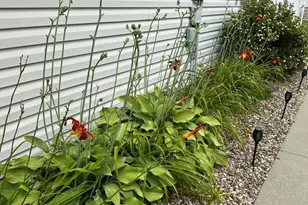 3069 Venice Ln NW, Rochester, MN 55901 - Photo 31