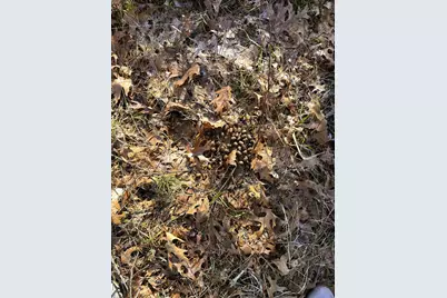 27672 Norway Point Road, Grantsburg, WI 54840 - Photo 5