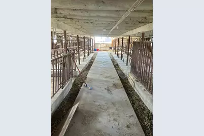 10422 401st Avenue Avenue, Mabel, MN 55954 - Photo 5