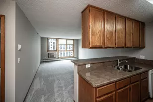 433 S 7th St, Minneapolis, MN 55415 - Photo 1