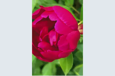 6710 115 1/2 Avenue N, Champlin, MN 55316 - Photo 27