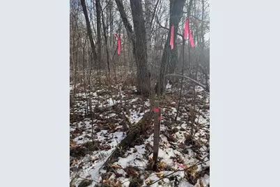 Tbd Aztec Road, Motley, MN 56466 - Photo 21