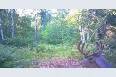 Tbd Aztec Road, Motley, MN 56466 - Photo 31