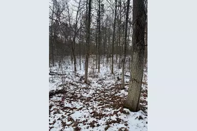 Tbd Aztec Road, Motley, MN 56466 - Photo 11