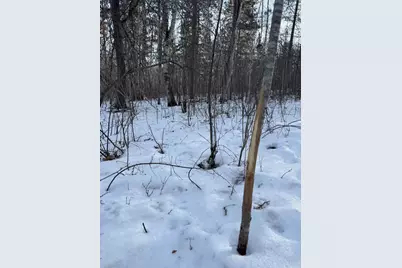 Tbd Aztec Road, Motley, MN 56466 - Photo 13