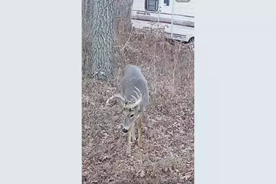 Tbd Aztec Road, Motley, MN 56466 - Photo 25