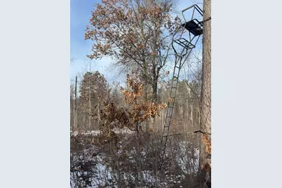 Tbd Aztec Road, Motley, MN 56466 - Photo 19